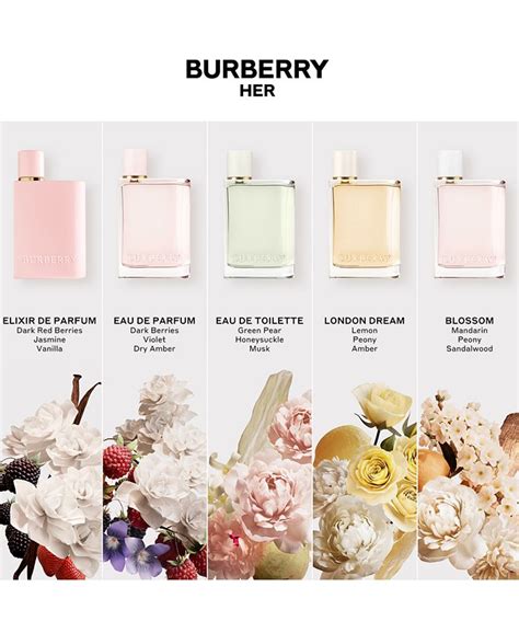 burberry her elixir shoppers